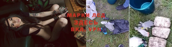 гидра Алексеевка