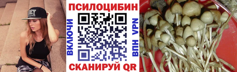 Псилоцибиновые грибы Magic Shrooms Красногорск