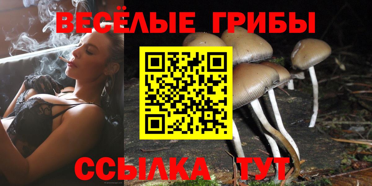 Красногорск  Галлюциногенные грибы Magic Shrooms  продажа наркотиков  Вход с VPN 