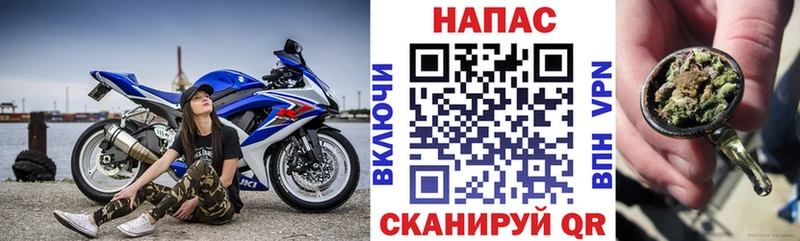 купить цена Красногорск Бошки марихуана MAZAR